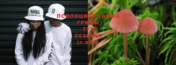 spice Богородск