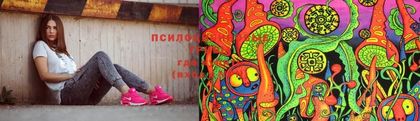 СК Богородицк
