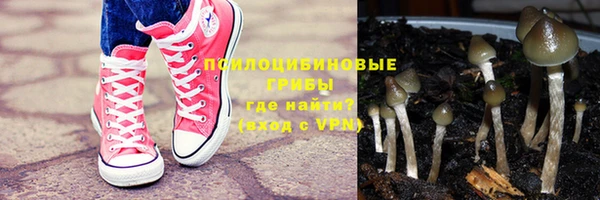 каннабис Богданович