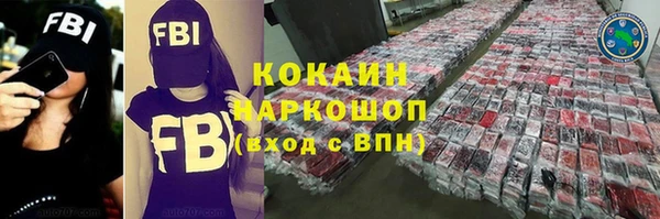 spice Богородск