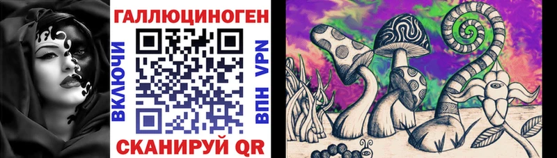 Псилоцибиновые грибы Cubensis  хочу наркоту  Новокубанск 